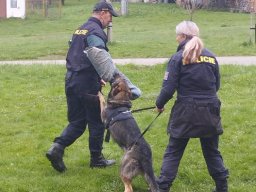 beseda s policii55